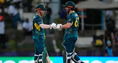 David Warner Drink Driving Guilty Plea Jail Risk