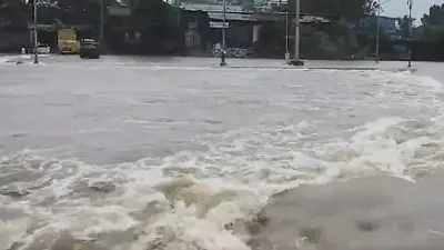 Kalyan Bridge Submerged: Kalu River Floods Disrupt Travel
