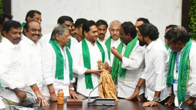 Tobacco Auction Delay Crisis in Andhra Pradesh