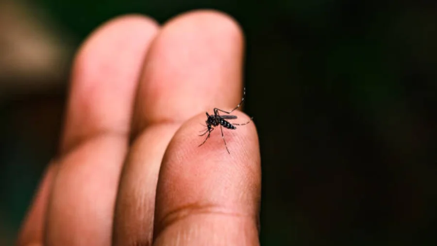 Monsoon Fever Misdiagnosis The Hidden Truth