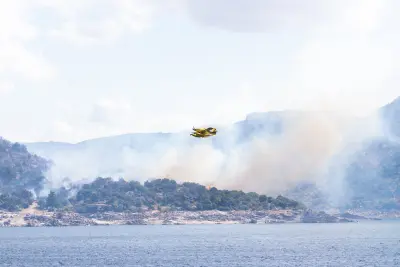 Spain Wildfires Force 80,000 Evacuations in Avila Madrid