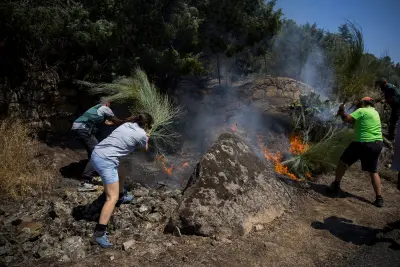 Spain's Largest Wildfire Ever Burns 50,000 Hectares