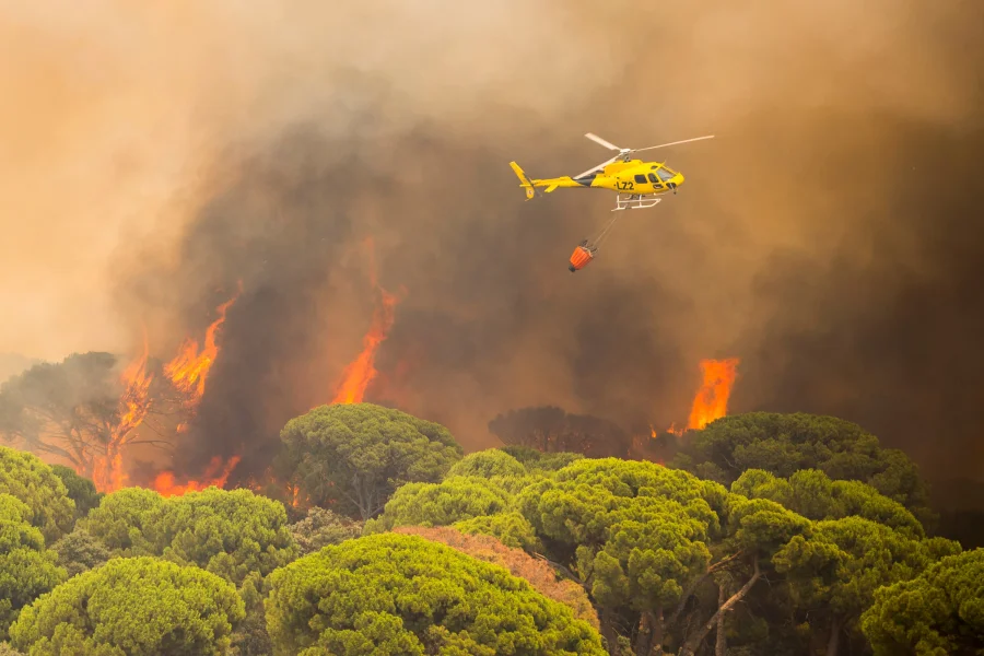 Madrid Wildfire Merges with Avila Blaze Threatens 75k