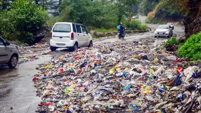 Bombay High Court Warns Double Standard on Cleanliness
