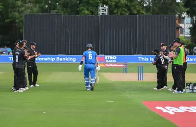 Joe Denly Final Match Ends With Two Wickets and Win