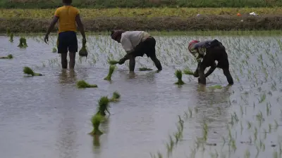 Kerala Flood Relief Request of ₹110 Crore Sent to Centre